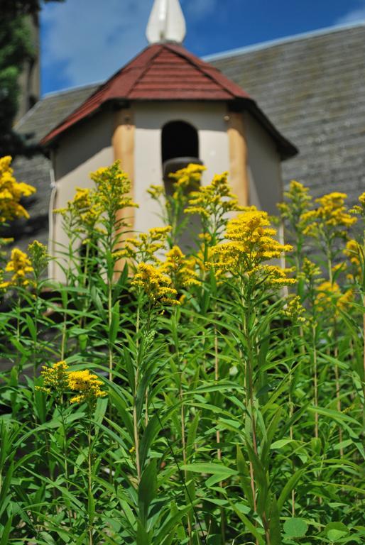 Camping Les Tournesols Sille-le-Guillaume Ngoại thất bức ảnh