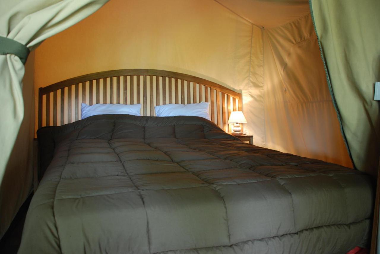 Camping Les Tournesols Sille-le-Guillaume Ngoại thất bức ảnh